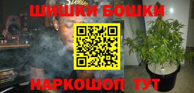 мдпв Можга