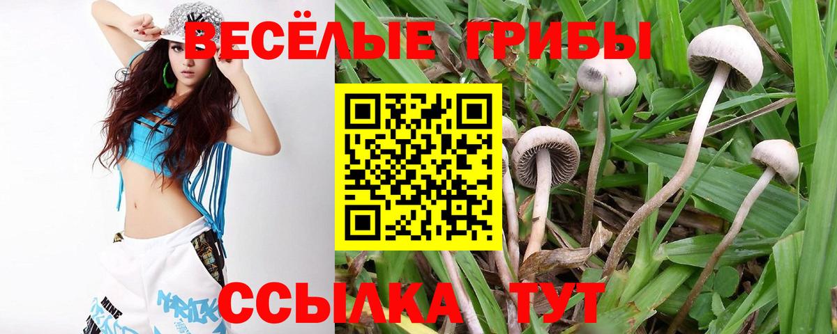 Псилоцибиновые грибы мицелий  Вход с VPN  Псилоцибиновые грибы Psilocybe  Сызрань 